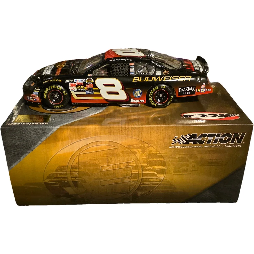Action 2004 dale